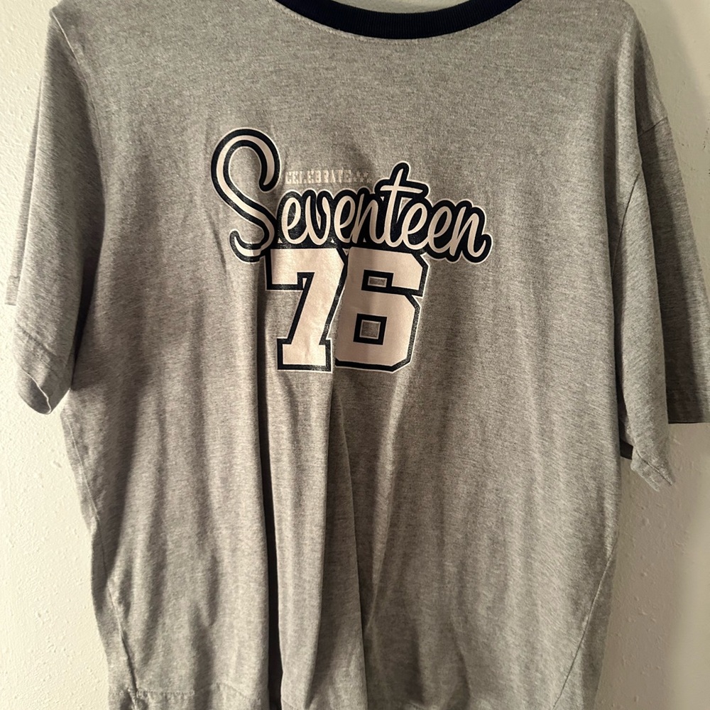 Celebrate seventeen seventy six tee